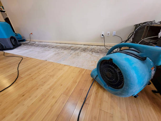 Professional Flood Damage Cleanup technician working in Howard, WI